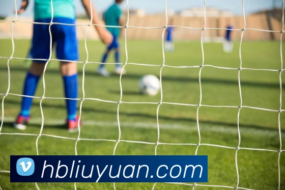 国际pg平台生态图